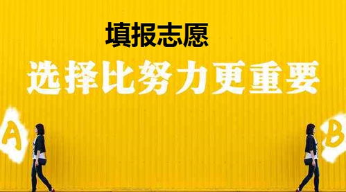 過來人告訴你心知肚明 高考填報(bào)志愿的十大關(guān)系幫你填志愿