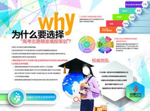 高效志愿填報(bào)指南 免費(fèi)素材下載與模板使用